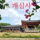 천황사 대웅전 석가여래삼존불상 및 대좌·수미단 | [공지] [백팔 순례] 청벚꽃 배롱나무 관광명소 충남 서산 가볼만한 절 개심사 (가는 길, 주차정보)