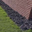 갤러리데이지
