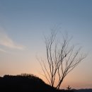 괴산군탄생600주년기념공원 이미지