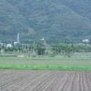 국제농장 이미지