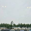 삼교리동치미막국수 | 강릉 현지인 맛집 점심으로 삼교리 동치미 막국수 남항진점 맛보고 온 후기 벌써 3번째 방문