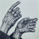 인체연필소묘 손 ㅡ 김정아님 이미지