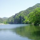 대사로(길안면) 이미지