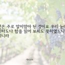 사랑포도원