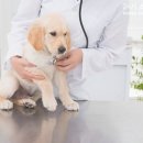 소래동물병원 이미지