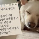 본가집