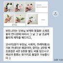 접도로 | 10만원대 본식 부케, '아뜰리에윤' 계약 후기 💐