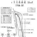 [手太陰肺經][수태음폐경] 이미지