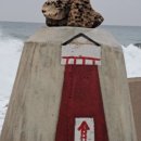 축산보건지소 이미지