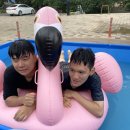 팔팔생고기(영남대점) 이미지