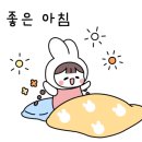 네모에이드 이미지
