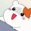 여기조아 이미지