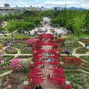 한밭수목원 이미지