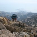 칠전팔기 이미지