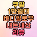 하소세탁 | 쿠팡 소하임 1만원대 바디필로우 내돈내산 리뷰