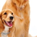 (주)허미 이미지