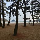 구례밀밭 이미지