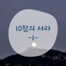 굿모닝김밥천국황상점 | 24년 10월 첫번째 : 바쁜 일상에 푸른색 끼얹기