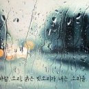 킴스건재