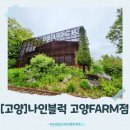 [고양]모임하기 좋은 고양 감성 카페, 나인블럭 고양 FARM점 완벽 리뷰