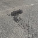 제로원 모터스 이미지