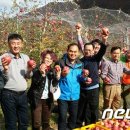 배내골사과정보화마을 이미지