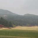 구좌주유소 이미지