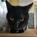 드림메디의원 이미지