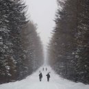 개마고원 이미지