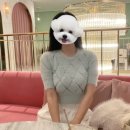 김포 롯데몰 분위기 좋은 데이트 카페 헤븐온탑 내돈내산