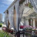 강원도 횡성군 교항로 이미지