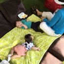 베이비엔젤스 이미지