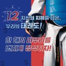 하나린태권도 이미지