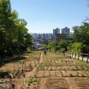 광진농장 이미지