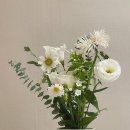 경원잠수 이미지