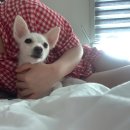 코코온누리약국 | 9월, 푸르던