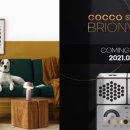 코코스퀘어 애견미용 이미지