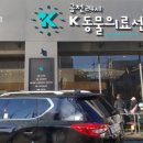 금천 24시 K동물의료센터 이미지