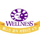 Healthy Cat | 고양이 사료 - 웰니스 헬시 발란스 인도어 캣 한달 급여 후기 wellness healthy balance indoor cat
