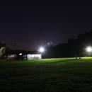 한국애견대학 이미지