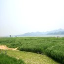 금강레져타운 이미지