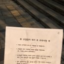 맘모스약국 | [치아 일기] 단순 매복 사랑니 발치 후기(증상+식사) 🥵