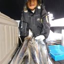 고흥-6호 이미지