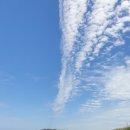 황소당구장 이미지