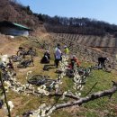 공세리농장 이미지