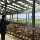 단양축협 앞 이미지