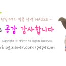 그림책 생각지도 네이버블로그