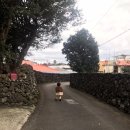 볼몽지엥