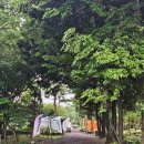 영주고등학교 (영주고 입구방면) 이미지