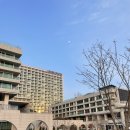 소신두길 | 강동 이케아 봄신상 구경하고 온 후기 (구매템 후기)